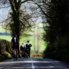 Dean Forest Views related article
