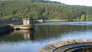 High Peak Hog Entries Open to All Comers